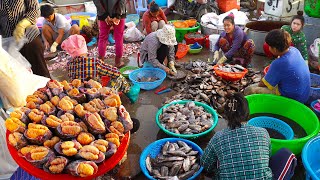 Ever seen Cambodian fish market Largest fish distribution site in Phnom Penh PrekPhnov fish market [upl. by Nattirb269]