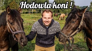 CIEKAWOSTKI O HODOWLI KONIA W DOMU [upl. by Seed448]