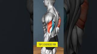 Building Strong Triceps Top 3 Exercises for Tricep Long Head triceps exercise [upl. by Hadik]