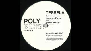 Tessela  Hackney Parrot [upl. by Ecyak]