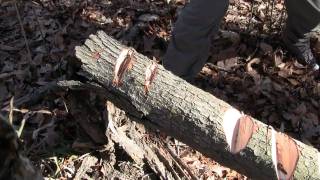 Gransfors Bruks Mini Hatchet Closeup HD [upl. by Cates]