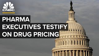 Pharma executives testify at House hearing on drug pricing — 1012020 [upl. by Zollie842]