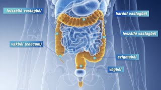 Colonoscopy procedure and preparation for examination [upl. by Tenenbaum752]