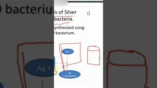 Green Synthesis nanoparticles nanoscience nanomaterials nanotechnology chemicalsynthesis [upl. by Nwahsav]