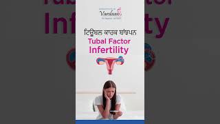 Fallopian Tube Blockage Symptoms Causes Diagnosis and Treatment  IVF in Jalandhar [upl. by Madi804]