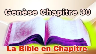 Genese Chapitre 30 [upl. by Marr940]