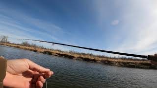 Fishing Glenmore Bridge for trout and white fish [upl. by Hares]