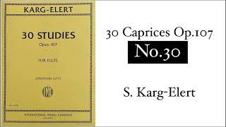 【Flute】30 Caprices Op107 No30 Chaconne  SKargElert [upl. by Ponton]