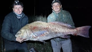 corvina negra gigante record general Lavalle 30kilos [upl. by Laurentium]