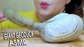 ASMR Mukbang eating Giant geoduck Part 02  Chewy Crunchy eating sound 먹방  LINHASMR [upl. by Betti]