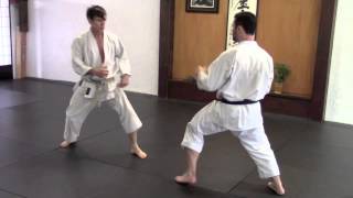 Karate Back Kick Ushiro Geri [upl. by Madalyn]