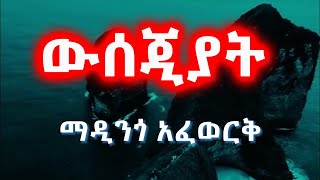 madingo Afework  Wsejat ማዲንጎ አፈወርቅ  ውሰጃት  Lyrics [upl. by Enajaras]