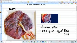 HUMAN PLACENTA FORMATION  ANATOMY FUNCTION [upl. by Adohr692]