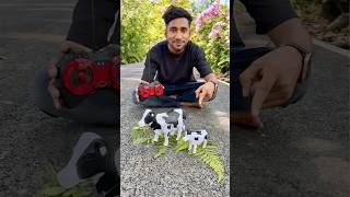 Big and Small Remote Control Cow 🐄 Testing rccow [upl. by Johnstone]