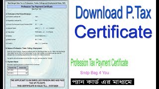 HOW TO DOWNLOAD PTAX CERTIFICATE WITH PANCARD [upl. by Annaeed879]