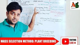 Mass Selection Method of Plant Breeding  Agriculture RS Rajput [upl. by Firehs342]