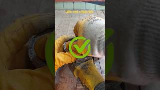 Angle grinder hack Anglegrinder inventions great [upl. by Jenifer]