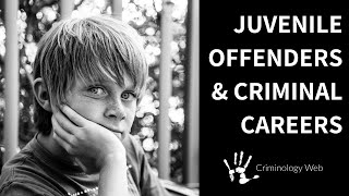 Juvenile Delinquency Two Types of Criminal Careers [upl. by Elmo397]