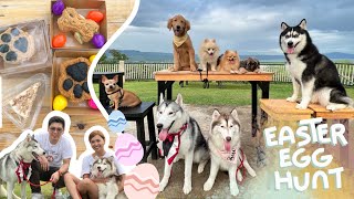 DOGGY EASTER EGG HUNT  Dog Park amp Cafe at Morong Rizal [upl. by Maddy]