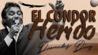 Diomedes Díaz feat Juancho Rois  El Cóndor Herido Letra Oficial [upl. by Korwin]