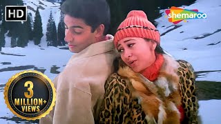 Hum Yaar Hain Tumhare  Haan Maine Bhi Pyaar Kiya 2002  Abhishek Bachchan Karishma Kapoor songs [upl. by Marya]