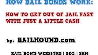 How Bail Bonds Work  Zero Down Bail and Online Bail Approved in Minutes [upl. by Korwin]