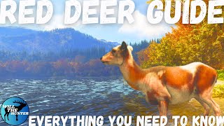 Hirschfelden Red Deer Guide TheHunter Call Of The Wild 2023 [upl. by Tennek305]