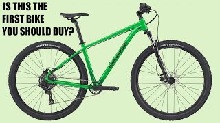 Entry Level Budget Mountain Bikes from Big Brands [upl. by Enimzaj846]