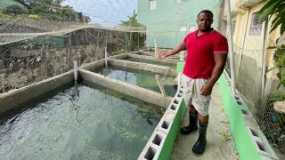 Con más fuerza llenando el criadero de peces luego de la inundación [upl. by Airel]