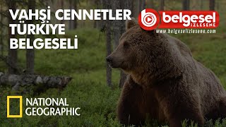 Vahşi Cennetler Türkiye Belgeseli  Türkçe Dublaj [upl. by Adrianne]