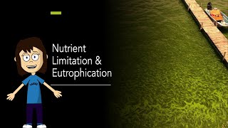 Limnology  Nutrient limitation and eutrophication [upl. by Marcelline495]