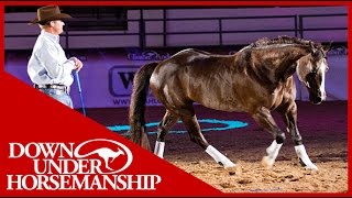 Clinton Anderson with his amazing horse quotMindyquot in Vegas 2010 [upl. by Aihsyla]