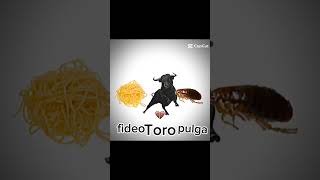 Toro fideo pulga x Messi dimaria Lautaro Martínez music musica halloween song memes futbolman [upl. by Loralie234]