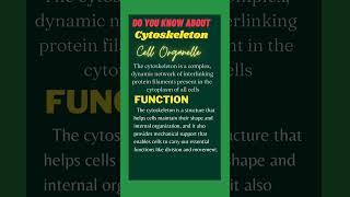 Cytoskeleton education science biology sirwahab sciencefacts cell [upl. by Enilec579]