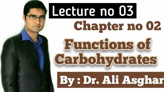 Functions of Carbohydrates HindiUrdu [upl. by Neelrihs]