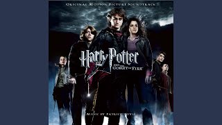 The Second Task Part 2  Harry Potter and the Goblet of Fire [upl. by Haines]