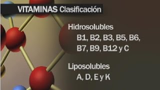 ¿Qué son las vitaminas [upl. by Hanoj591]