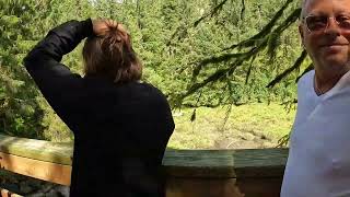 Black Bear amp Wildlife Exploration Excursion Ketchikan AK [upl. by Ahsyekat]