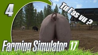 Farming Simulator 17  4  TU LAS VU [upl. by Annabal114]