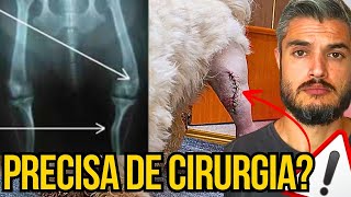 CIRURGIA ORTOPÉDICA EM CACHORRO MANCANDO PROBLEMAS NO JOELHO PATAS TRAZEIRAS REMÉDIOS TIRAM A DOR [upl. by Danit454]