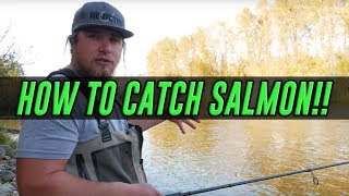 HOW TO Catch A Salmon  COMPLETE Guide To SUCCESS Salmon Fishing [upl. by Ade130]