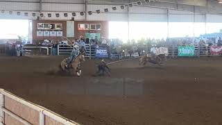 World Series Open Team Roping Short Go Buckeye Nov 26 2021 [upl. by Gladys]