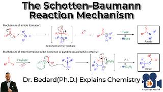 The Schotten Baumann Reaction Mechanism [upl. by Perri703]