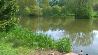 Docklow Pools  Match Lake [upl. by Wanfried]