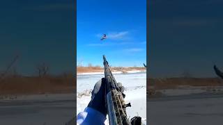 Short Birds hunting youtubeshorts birdhunting goosehunting goosehunt snowgoosehunting [upl. by Anirbes558]