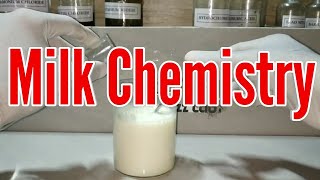 DIY Experiment  Isoelectric Precipitation of Casein Protein from Milk With Explanation [upl. by Ahsirak29]