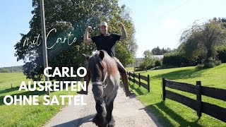 Ausreiten mit Carlo [upl. by Mayhs662]