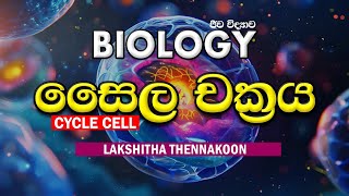 සෛල චක්‍රය  CYCLE CELL  2026  SINHALA  AL BIOLOGY [upl. by Waters]