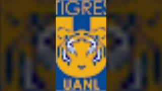 Dale campeón tigres [upl. by Norreg]