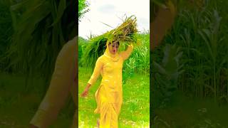 Aslam  singer ka  sr 8130new  mewati gana song aslamsinger9090dance aslam love bhojpuri [upl. by Earaj]